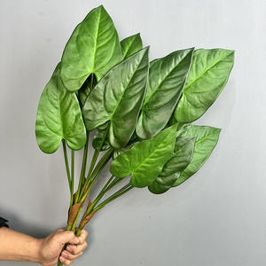 68CM Simulation 5 PCS Feuille d'<span class=keywords><strong>Arum</strong></span> pour Décoration de Jardin Impression 3D Verdure Artificielle de Haute Qualité Plante d'<span class=keywords><strong>Arum</strong></span> - Product Image 5