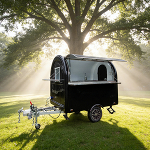 Camión de Comida Equipado para Helados, Completo con Cocina, Remolque de Comida Rápida y Camión de Comida Móvil - Product Image 2