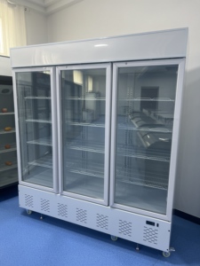 Équipement de réfrigération pour vitrine de <span class=keywords><strong>charcuterie</strong></span>, congélateur à viande, <span class=keywords><strong>charcuterie</strong></span> fraîche, supermarché - Product Image 6