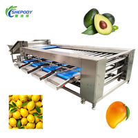 Shepody Automatische 304 RVS Appel Ui Sinaasappel Blauwe Bes Aardappel Avocado Dadel Fruit Tomaat Sorteer- en Graderingsmachine