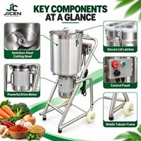 Extracteur de pulpe de fruits et légumes en acier inoxydable, machine commerciale pour tomates, mixeur à viande