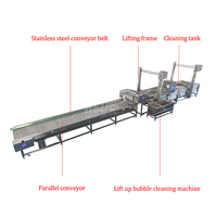 Groentewaslijn met bubbelsysteem, fruit- en groenteverwerkingslijn