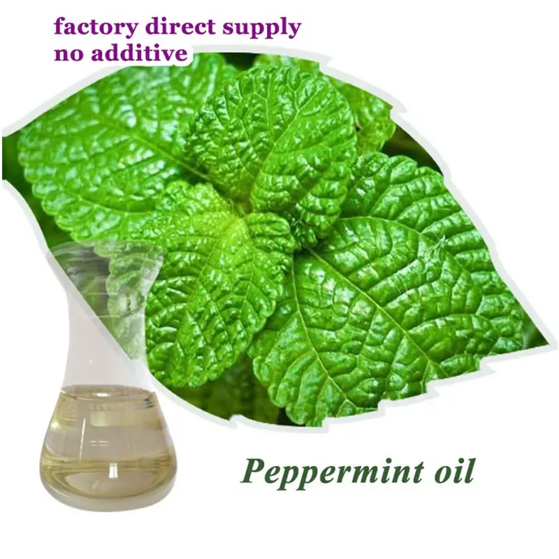 High Quality Guangzhou 100% Pure Peppermint Essential Body Oil