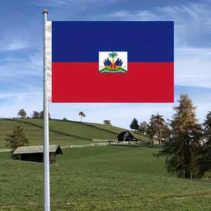 Флаг Гаити, 3x5 футов, прочный флаг страны, премиум-качество из полиэстера, яркие цвета, 2 люверса, для использования в помещении/на улице - Product Image 3