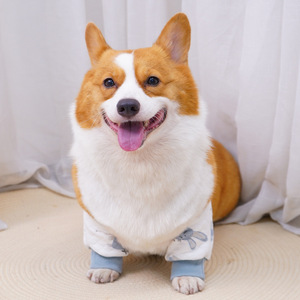 Protectores de codo y rodilla para Corgi, protectores de articulaciones para patas delanteras, protección contra el desgaste y el frío, ropa para mascotas, unisex, para las cuatro estaciones - Product Image 4