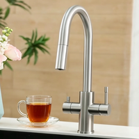 Nouveau modèle de robinet d'eau en acier inoxydable 3-en-1 avec eau bouillante instantanée