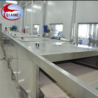 QIANWEI Commerciële Turnkey Automatische Fruit Sap Productielijn met PLC-besturing SUS304/SUS316 Materiaal 0,5-20T/H Capaciteit