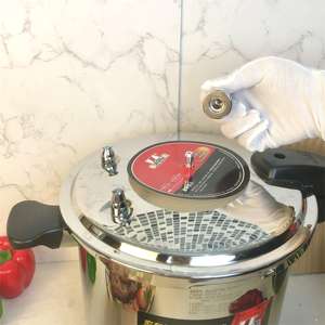 طباخ Zhenneng بتصميم جديد 8 لتر من الفولاذ المقاوم للصدأ المنزلي متعدد السرعة للطبخ من من من نوع Zhenneng - Product Image 3