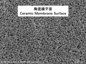 Capa de Soporte Porosa, Capa de Transición, <span class=keywords><strong>Membrana</strong></span> Cerámica de Óxido de Grafeno (GO) - Product Image 3
