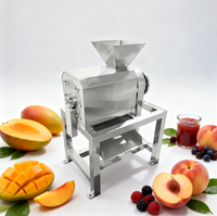 Automatische hoogproductieve fruitpulper mango aardbei passievrucht sapcentrifuge pulpmachine 380V te koop