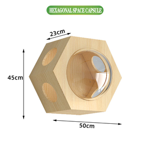 أرفف حائط للقطط مع ملعب لتسلق القط جدار لسلالم المنزل والجسر الداخلي للقطط - Product Image 4