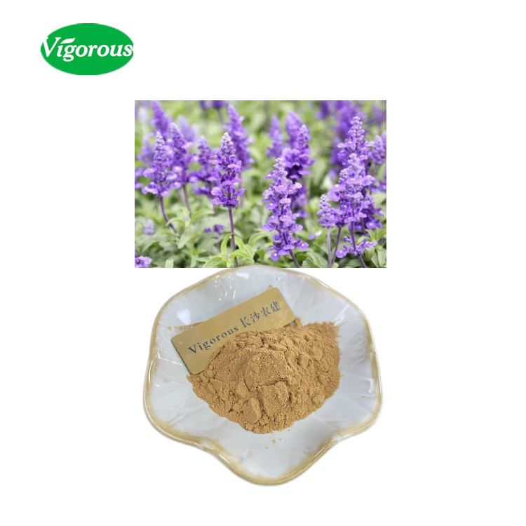 Чистый порошок экстракта листьев шалфея лекарственного