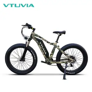 HOT Sale US EU CA Warehouse Fat e bike 36V 48V 250W 750W electric fat tire bike city electric bicycle