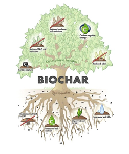 <span class=keywords><strong>Charbon</strong></span> <span class=keywords><strong>actif</strong></span> végétal granulaire <span class=keywords><strong>charbon</strong></span> <span class=keywords><strong>actif</strong></span> pour composés organiques carbone prix Activ - Product Image 4