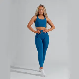 Rpet artı Gym Dropshipping mütevazı spor Yoga geri dönüşüm özel toptan dikişsiz kadın Activewear seti üreticisi