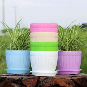 AAA359 <span class=keywords><strong>Mini</strong></span> colori della caramella decorazioni per la casa <span class=keywords><strong>piante</strong></span> da vaso <span class=keywords><strong>piante</strong></span> <span class=keywords><strong>grasse</strong></span> vaso di plastica rotondo scrivania <span class=keywords><strong>vasi</strong></span> da fiori con Trray - Product Image 2