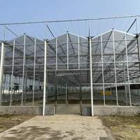 Serre en verre agricole à travées multiples avec ventilation intelligente du toit et système hydroponique pour légumes