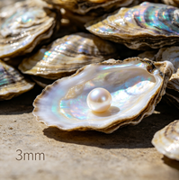 Noyau de perle d'eau douce naturelle blanche 3,0 mm pour la fabrication de bijoux, fournitures d'élevage, huître à perle des mers du Sud