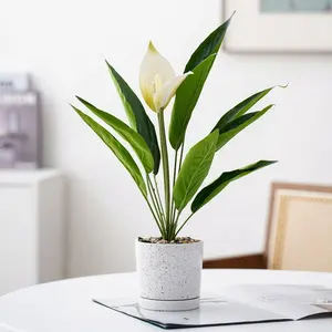 Spathiphyllum Peace Lily 3 Gallon Planter Overall 18 inch Artificial Flowers Planter Pot For Home Decor
