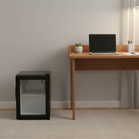 Mini réfrigérateur à boissons de 21 L, thermostat transparent, utilisation à domicile, bar, petit réfrigérateur