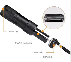 395nm <span class=keywords><strong>Uv</strong></span> नेतृत्व फ्लैशलाइट मिनी नेतृत्व टॉर्च वास्तविक मनी डिटेक्टर पदोन्नति उपहार 9 लीड्स मिनी सफेद प्रकाश फ्लैशलाइट - Product Image 4