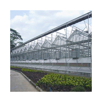 Serre agricole multi-span en verre de type Venlo Serre multifonctionnelle clé en main avec système hydroponique pour les légumes