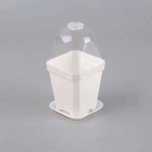 Pots de pépinière en <span class=keywords><strong>plastique</strong></span> souple, petits récipients de plantation carrés, tasses <span class=keywords><strong>pour</strong></span> semis Succulents, boutures, <span class=keywords><strong>repiquage</strong></span> - Product Image 2