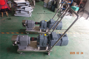 Ace 2HP Acier inoxydable Submersible Pompe à lobes rotatifs Boîte de vitesses Chocolat Yaourt Compatible Théorie centrifuge pour Marine 5Kw - Product Image 5