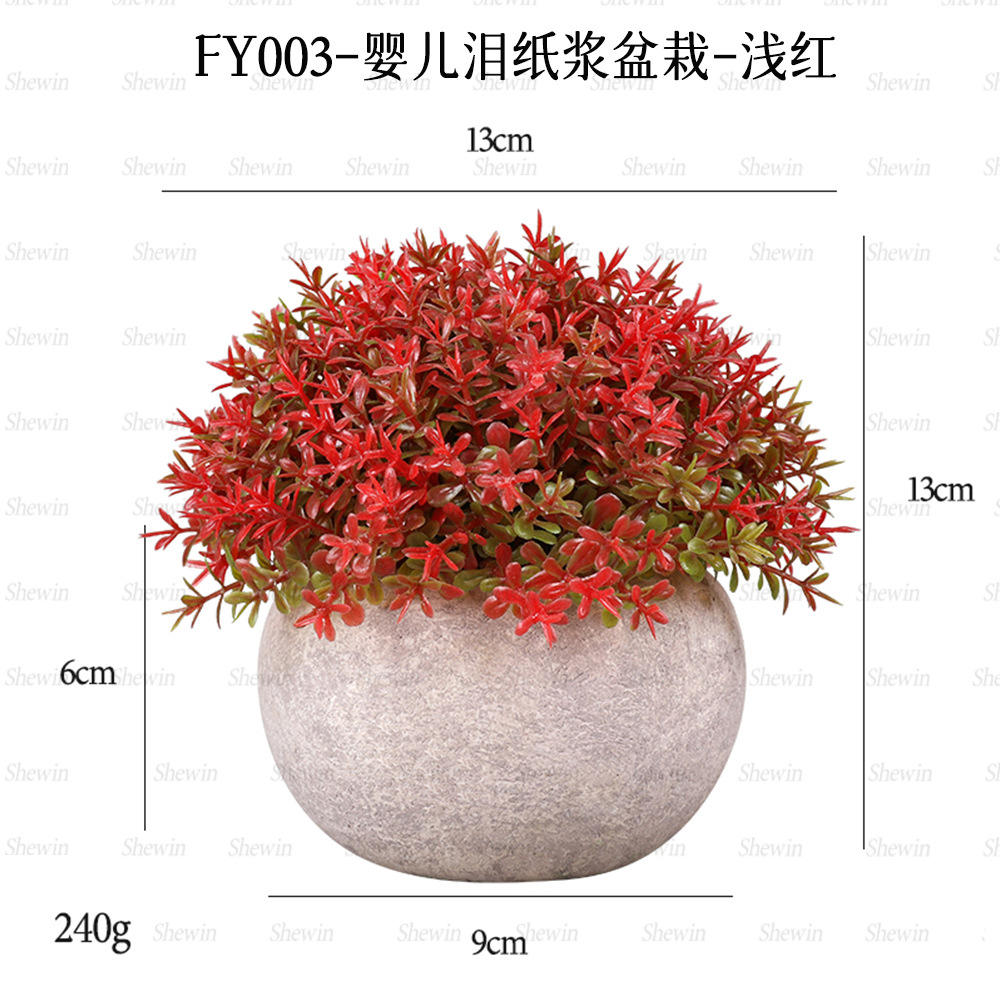 Plante en pot à pulpe de bébé larmes (rouge)