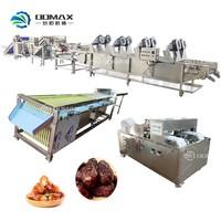 Automatische complete verwerkingslijn voor dadels: wassen, ontpitten, pulperen, productielijn voor dadelpasta/siroop