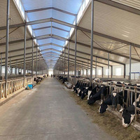 Structure en acier lourd de haute qualité à bas prix pour hangar à vaches/étable/poulailler/bergerie avec fabricant spécialisé dans la soudure
