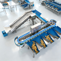 Commerciële doosvormige aardappelgewichtseparator voor landbouwverwerkingslijn met toevoerelevator, video-inspectie beschikbaar