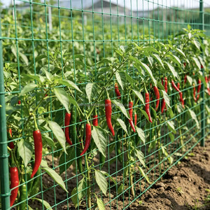 Value Pack Pro Grower Extra Robustes, Sonnenbeständiges, Feines <span class=keywords><strong>IMesh</strong></span> Sicherheits-Pflanznetz für Glyzinien – Längere Lebensdauer, Vietnam - Product Image 2