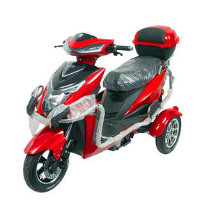 Tricycle Électrique 800 W <span class=keywords><strong>2022</strong></span>, <span class=keywords><strong>Moto</strong></span> Électrique d'Extérieur à <span class=keywords><strong>3</strong></span> <span class=keywords><strong>Roues</strong></span> pour Adultes et Personnes Âgées - Product Image 3