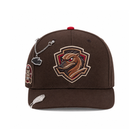 Casquettes de sport Mexique à livraison rapide, casquettes snapback brodées à 6 panneaux, designs tendance, casquettes streetwear à visière plate