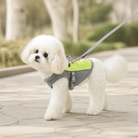 Harnais pour chien en maille souple avec laisse, ensemble anti-traction réglable pour chiens de petite et moyenne taille, chiots