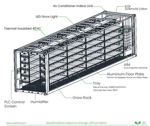 Ferme hydroponique clé en main dans un conteneur 40HQ pour les légumes-feuilles et le <span class=keywords><strong>basilic</strong></span> - Product Image 2