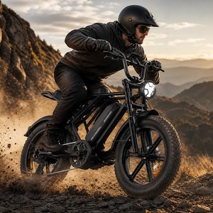 Bicicleta de Montaña con Llantas Gruesas de 20 Pulgadas, 750W, 48V, 15AH, 45KM/H, Frenos de Disco Dobles, Acero al Carbono, RX-T3A. Esta Bicicleta Está Equipada con un Motor de 750W - Product Image 1
