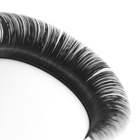 Extensions de cils en éventail à floraison automatique automatique avec logo personnalisé Faux cils faciles à faire pour votre marque