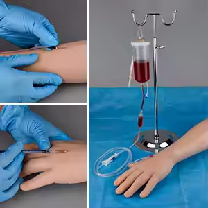 Y Tế Tiên Tiến Silicone Mô Hình Cho Y Tá Thực Hành <span class=keywords><strong>Venipuncture</strong></span> Cánh Tay Đào Tạo Và Tiêm Cho Các Trường Học Y Tế Khoa Học Sử Dụng - Product Image 3