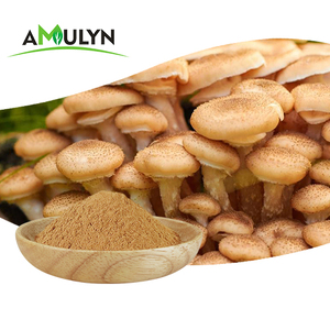 Agaricus nấm chiết xuất tricholoma matsutake chiết xuất Agaricus Blazei chiết xuất - Product Image 6