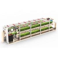 Système hydroponique intelligent de conteneur de Sinok pour l'agriculture verticale de conteneur de culture de champignon de laitue