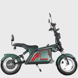 Alta velocidade tartaruga série triciclo scooter elétrico