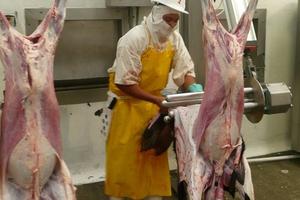 Traditionnel mouton équipement d'abattage pour l'<span class=keywords><strong>abattoir</strong></span> maison - Product Image 3