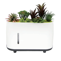Humidificateur de bureau automatique à brume douce pour plantes succulentes, décoration aromatique pour bureau, chambre et salle d'étude