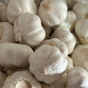 Ajo fresco fabricado directamente por la fábrica con precios al por mayor Noraml ajo blanco en bolsa de malla Ajo Fresco - Product Image 2