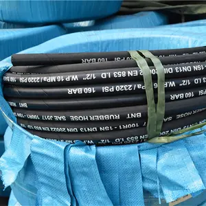 高品质极耐高温和低温钢丝编织软管DIN EN853 1SN中国供应商