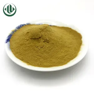 Quality Green-tea-face-powder Caffeine Best Extract For Fat Burning Instant Green Tea Powder