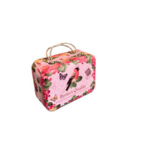Mini Valise en Métal DIY, Boîte en Fer Blanc pour Aliments, Jouets, Maquillage, Bonbons, Modèle Artisanat Personnalisable T076