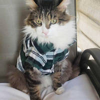 Vêtements pour petits chiens Corgi Teddy, chemise à carreaux respirante d'été pour chiens et chats, t-shirt décontracté pour chiots